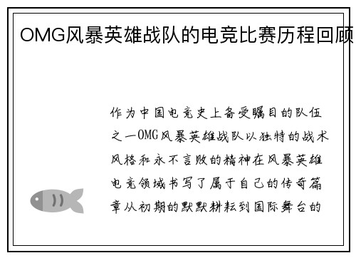 OMG风暴英雄战队的电竞比赛历程回顾